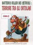 fr.toonpool.com Cetriolo
