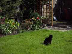 bearlybeaded.co.uk Cfor