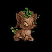 neopets.com Chaeri