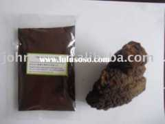 Chaga