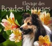 bordesrouges.com Chahrazade