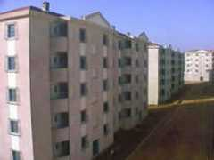 Chaiba