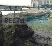 vesti-sochi.tv Chaider