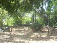 Chaisri