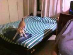 wn.com Chakia