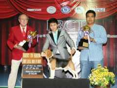 thailanddogshow.com Chakkapan