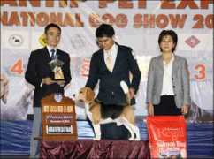 thailanddogshow.com Chakkapan