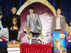 thailanddogshow.com Chakkapan