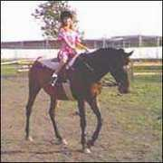 equusite.com Chakota