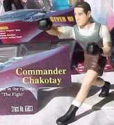 joeacevedo.com Chakotay