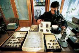 Chaladze