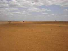 cesaremangone.it Chalbi