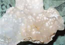 Chalcedony