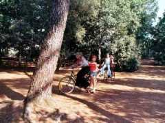 dailypeloton.com Challans