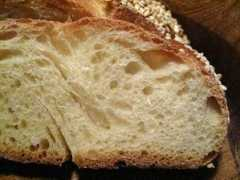 thefreshloaf.com Challot