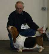 kalvskinnet.com Chalott