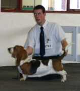 kalvskinnet.com Chalott