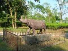 nativeplanet.com Chalsa