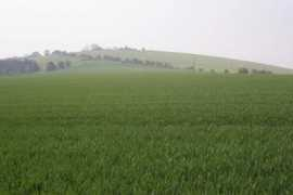 geograph.org.uk Chalton