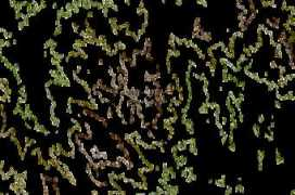 mountain-forecast.com Chamah
