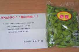 miyazaki-cci.or.jp Chamame