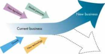 perprolimited.com Chamandi