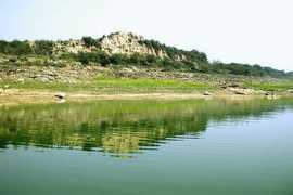 kolkatabirds.com Chambal