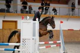 jkatrej.wbs.cz Chamill