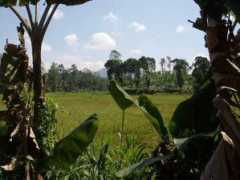 umdiewelt.de Chaminde