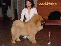 ildebote.ru Chaming