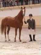 equichannel.cz Chamir