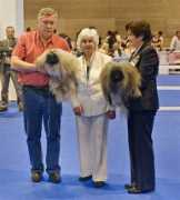 pekingesedogs.ru Chanada