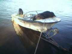 Chancho