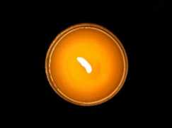 notcot.com Chandel
