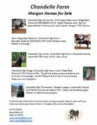 chandellefarm.com Chandelle