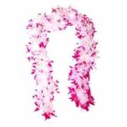 germes-online.com Chandelle