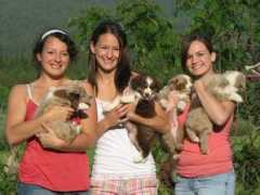 chandreafarms.com Chandrea