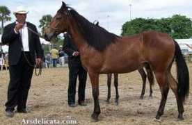 arsdelicata.com Chanero