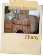 Chany