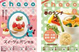net-friends.co.jp Chaoo