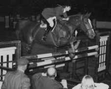 chronofhorse.com Chapot