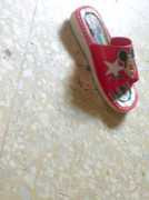 Chappal