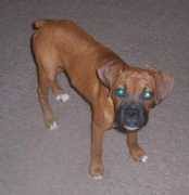 bluegras.startlogic.com Charlee