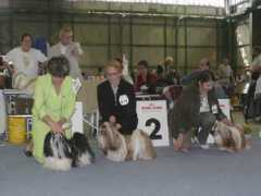 ivafre.wbs.cz Charlym