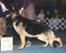 janmargsd.com Charnie