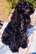 rebecca-kitchin.co.uk Charnie