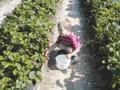 charpiafarms.com Charpia