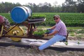 charpiafarms.com Charpia