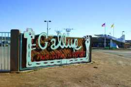 swaviator.com Charrito