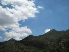 Chartas